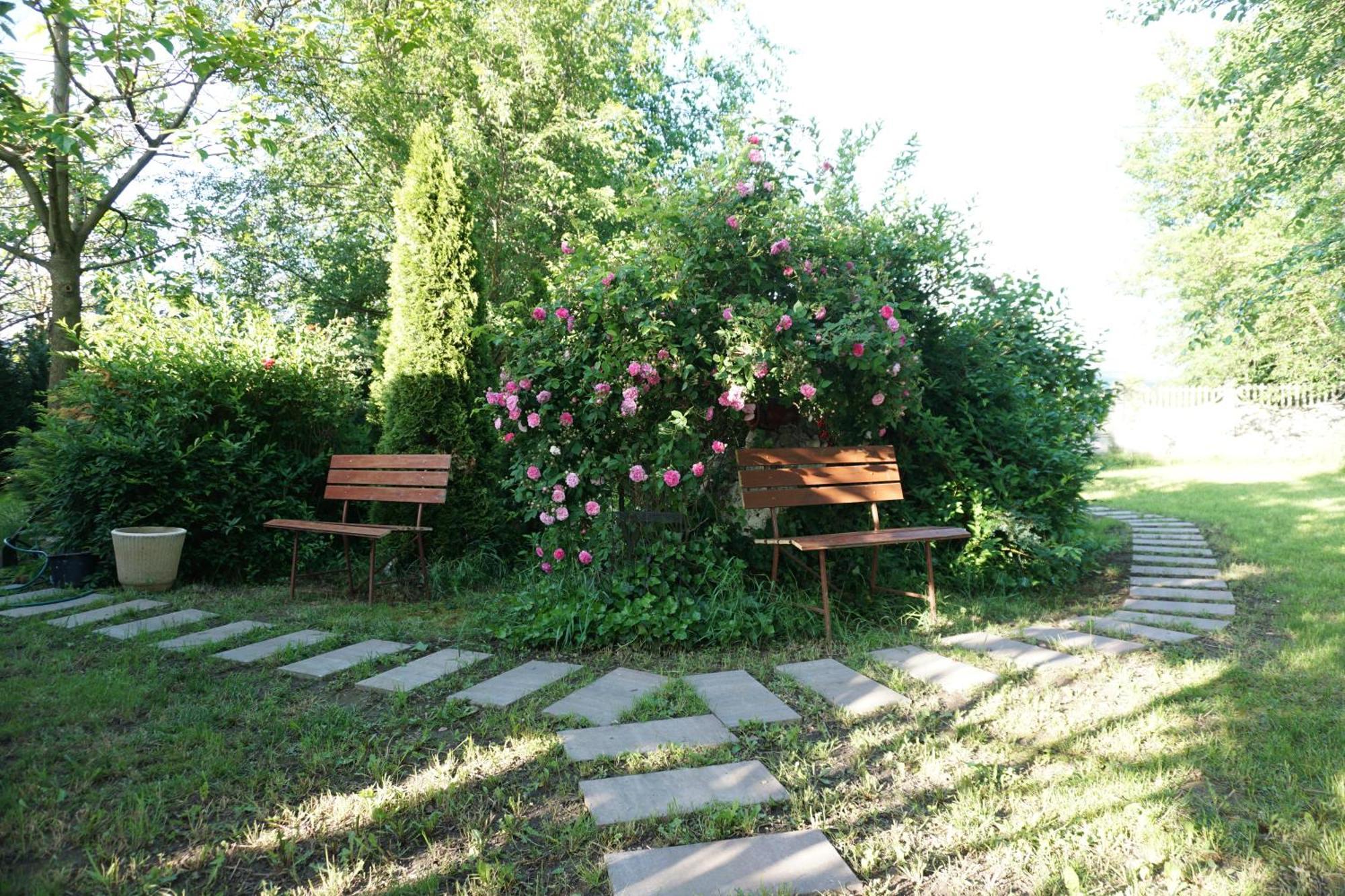 Villa Hanna'S Garden - Mintia Eksteriør billede